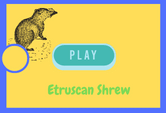 Etruscan Shrew game quiz online
